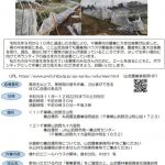 【台風15・19号】山武地域の農業ボランティア募集情報